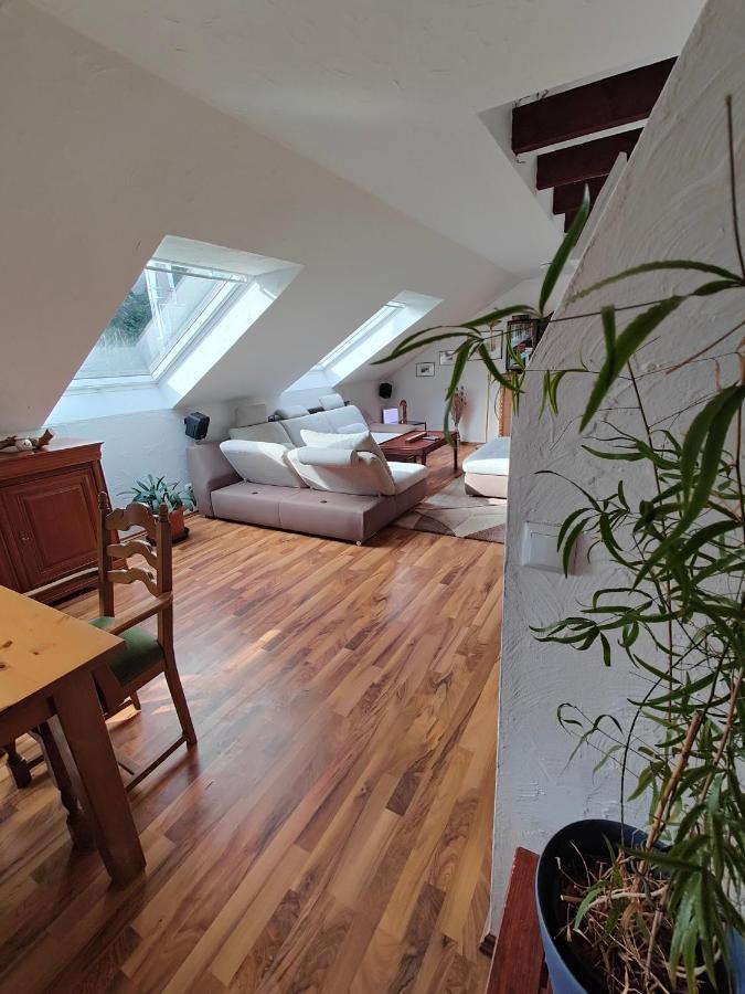 Komfort Ferienwohnung Biene Saarbrucken Bagian luar foto